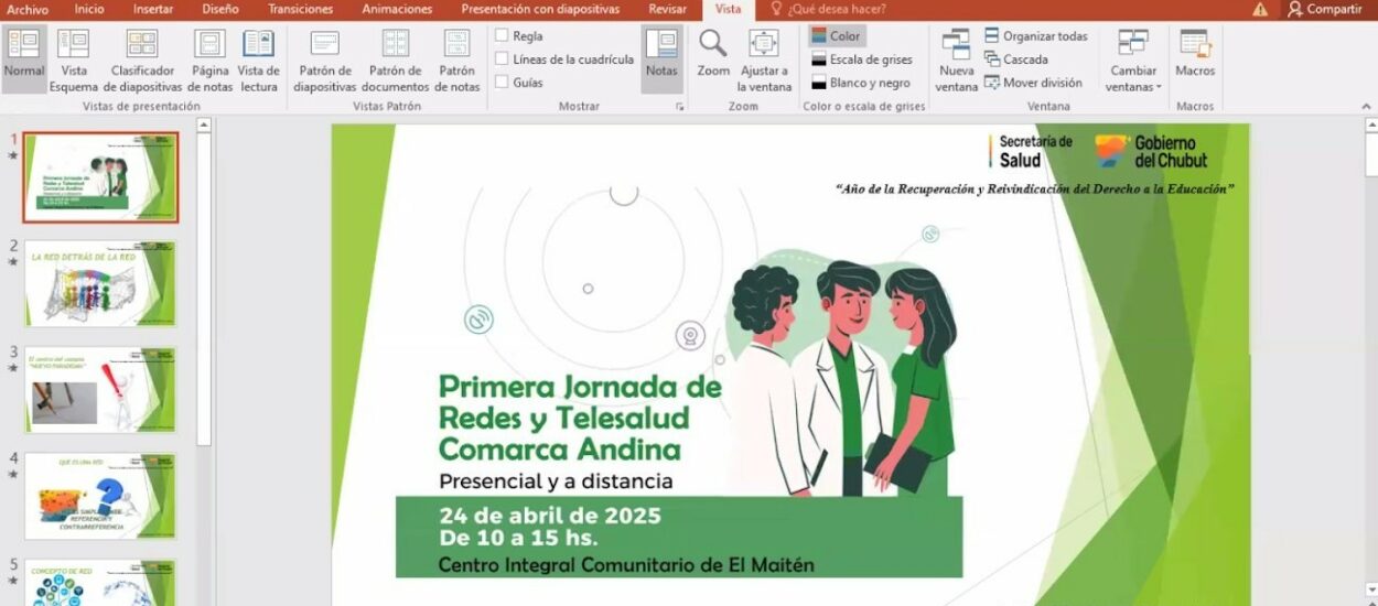 Provincia realizó la “Primera Jornada de Redes y Telesalud para la Comarca Andina”