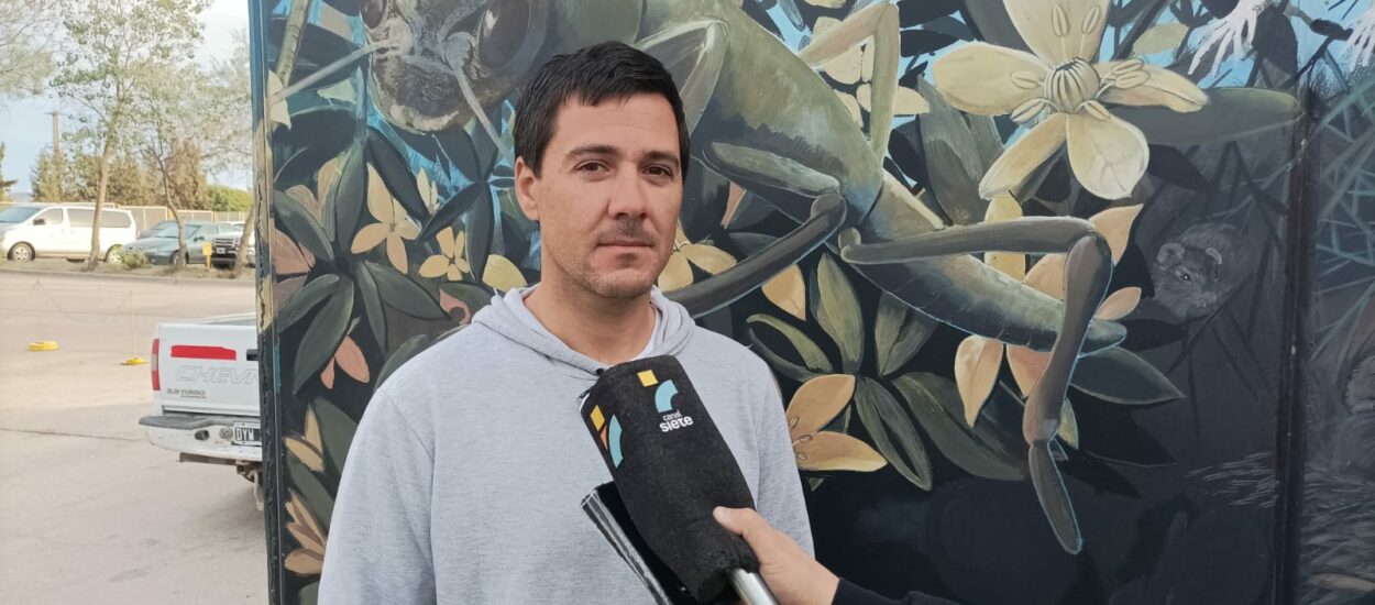 Repoblamiento de vieira tehuelche en el Golfo San José: una iniciativa para restaurar el ecosistema marino y fortalecer la pesca artesanal