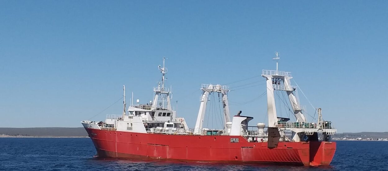 Langostino: Nación y gremios impulsan la prospección mientras las empresas alertan sobre costos