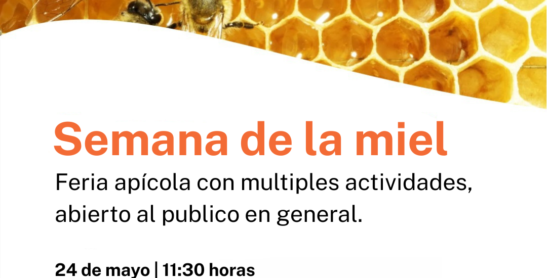 Provincia celebra la Semana de la Miel con actividades en Sarmiento y Gaiman