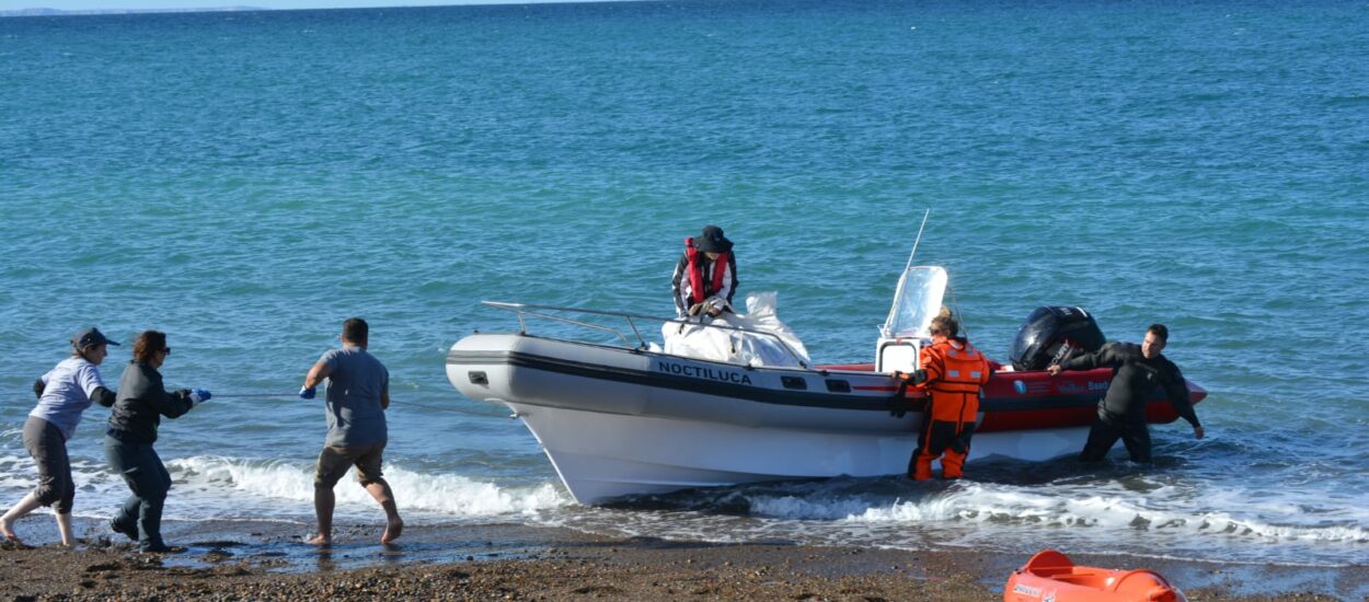Provincia continúa con la limpieza de zonas costeras