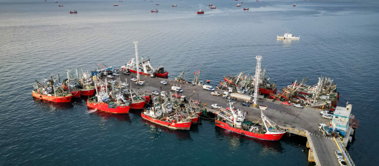 Congeladores y fresqueros no participarán de la prospección de langostino
