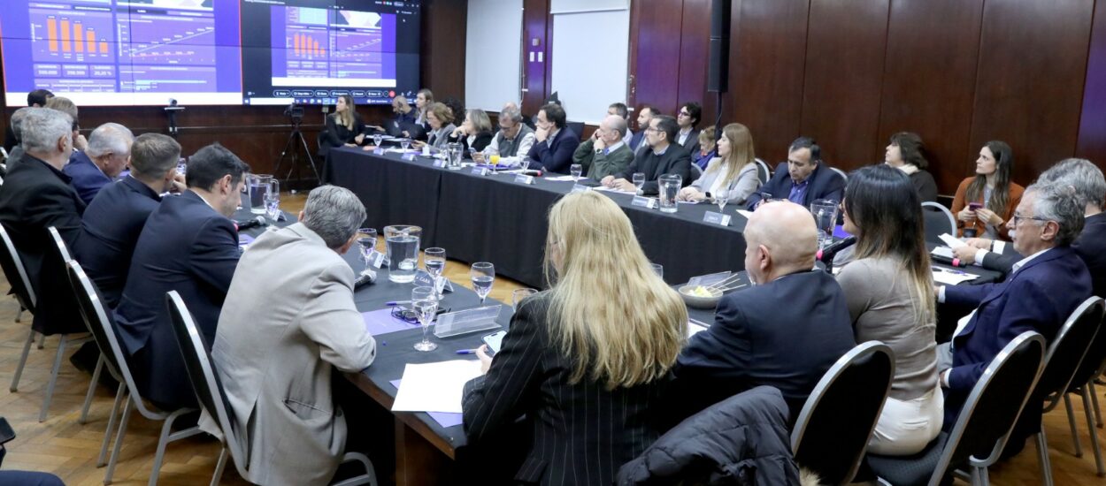 Chubut participó de una nueva reunión del Consejo Federal de Salud