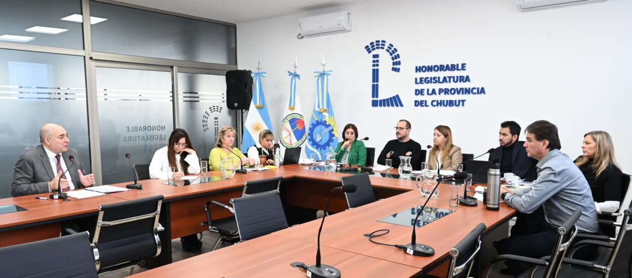 La Legislatura comenzó a utilizar la nueva Sala de Plenarios e inauguró las transmisiones en vivo de las reuniones de Comisión