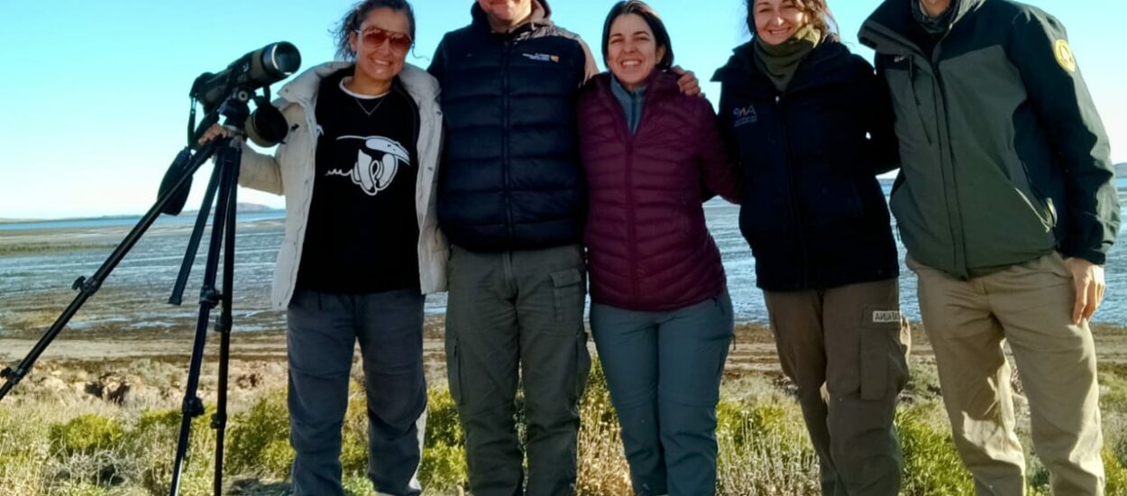 Provincia desarrolla capacitación en monitoreo para conservar la biodiversidad del Mar Patagónico