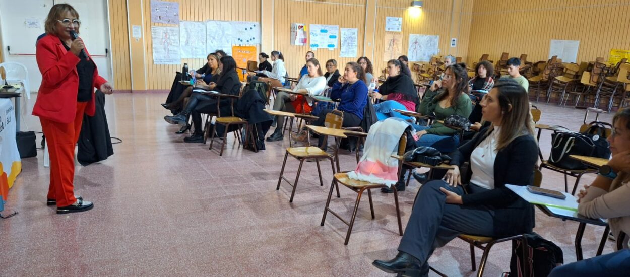Provincia realizó Jornada de Investigación en Enfermería