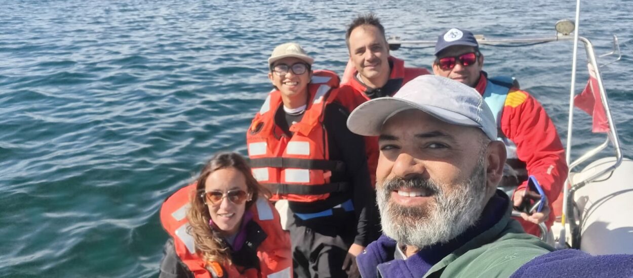 La ballena Sei del Golfo San Jorge, el turismo y la conservación, acaparan el tercer conversatorio por el aniversario del CENPAT