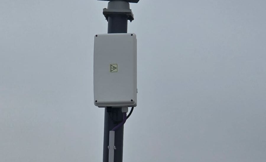 Tecnología láser contra las gaviotas: Muelle Piedrabuena implementa un método innovador y no letal para preservar su ecosistema portuario