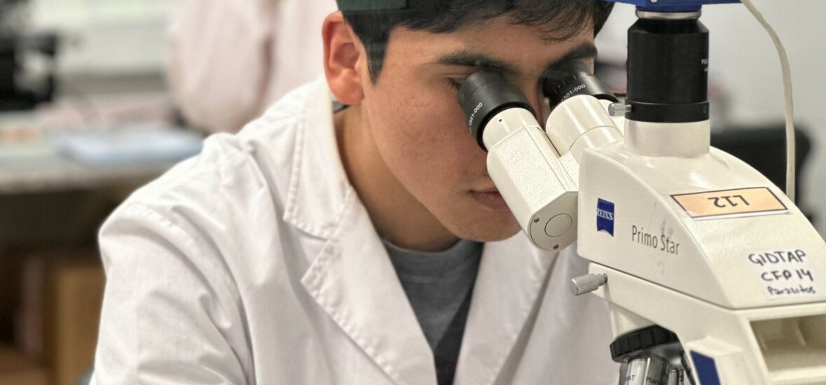 Vacaciones de invierno: tiempo para proyectar el futuro