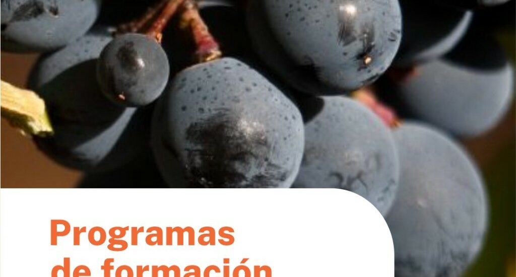 Provincia invita a participar en los programas de formación vitivinícola del CFI