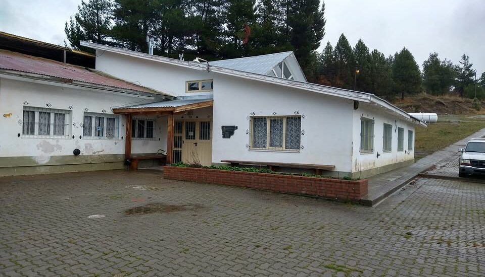 Cerro Centinela: puma en cercanías de la escuela y activan protocolo de emergencia