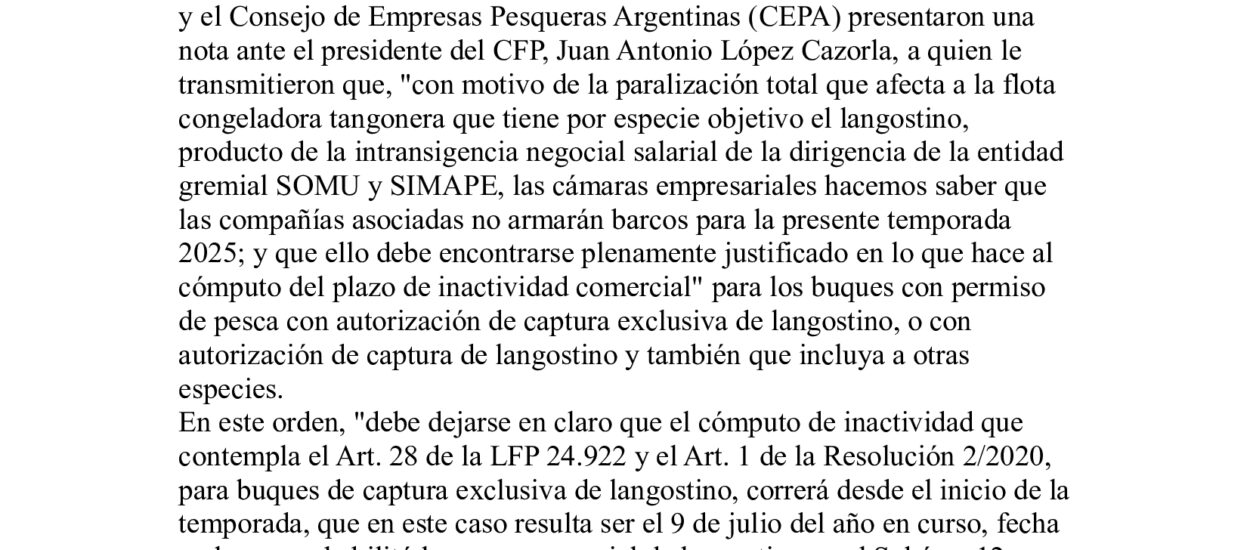 Congeladores solicitaron justificación de inactividad comercial tras fracasar la temporada de langostino