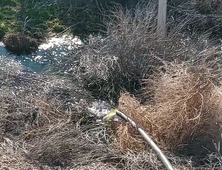 Contaminación cloacal en Dolavon: los residuos van a parar a una chacra sin tratamiento previo