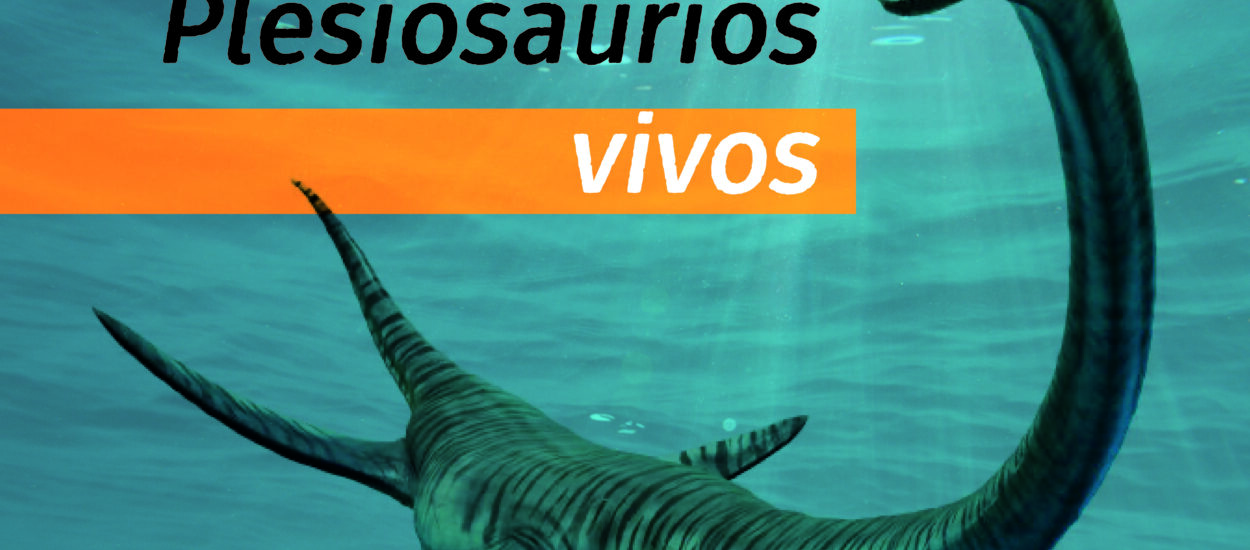 Nueva edición de cine y documentales en el Museo Egidio Feruglio de Trelew