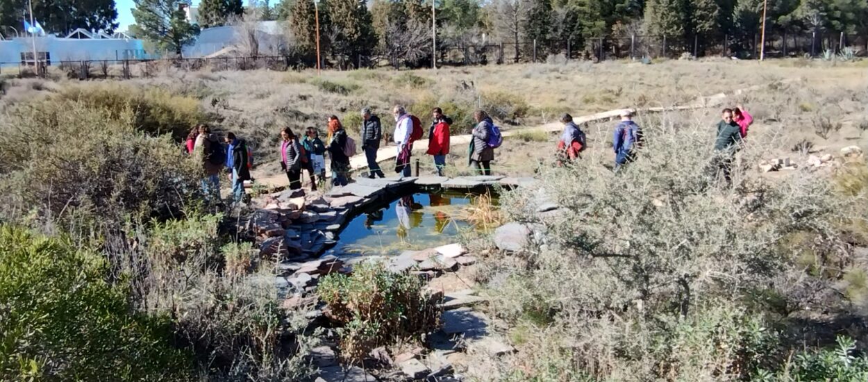 El Jardín Botánico de la Patagonia reabre sus puertas con nuevas propuestas educativas y comunitarias