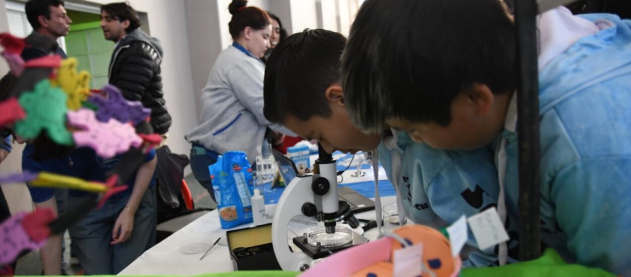 Chubut celebra la Instancia Provincial de la Feria de Educación, Artes, Ciencias y Tecnología 2025 en Playa Unión