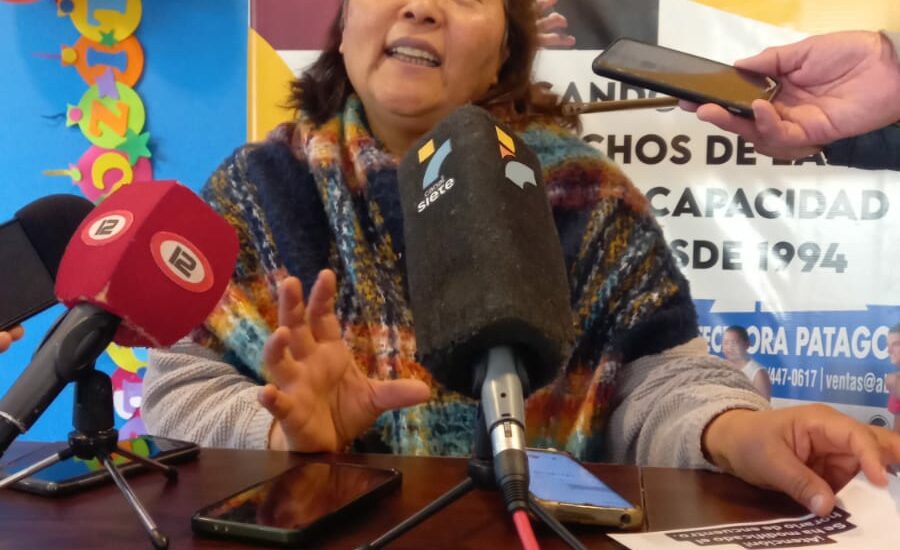 Puerto Madryn será sede de dos encuentros para acompañar a familias y fortalecer el trabajo institucional en discapacidad