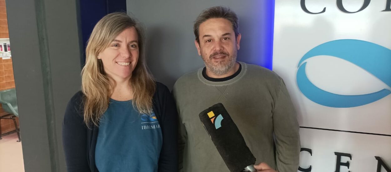 Ciencia en vivo desde las profundidades del mar: el CENPAT invita a una transmisión con investigadores desde la expedición Altaluz IV
