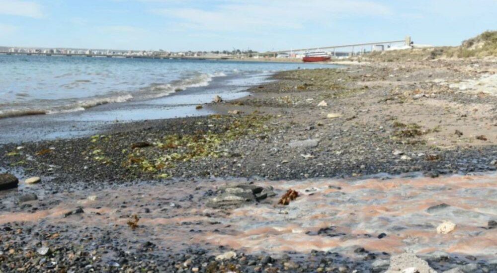 Causa por contaminación en el Golfo Nuevo: la defensa de Conarpesa afirma que los vertidos no provienen de su planta