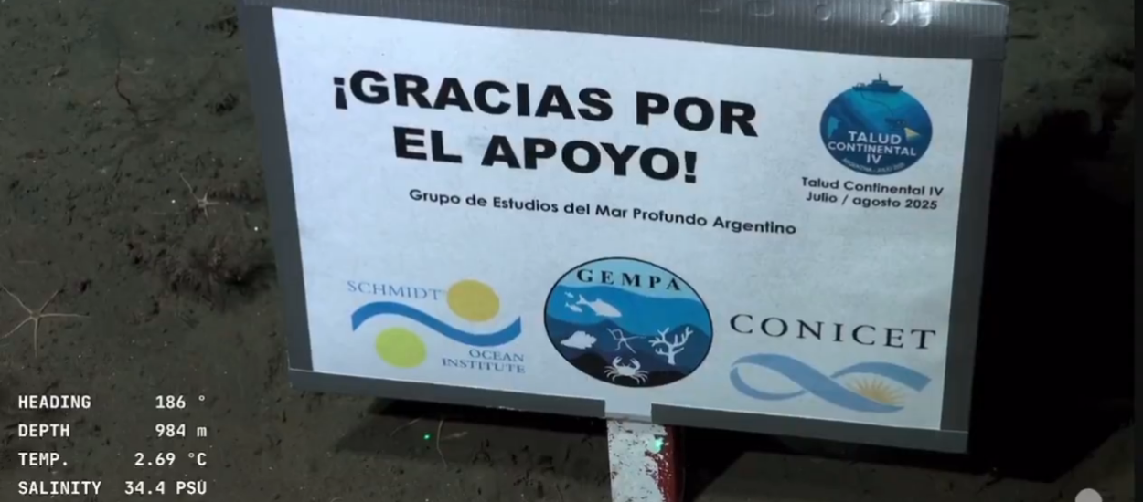 La importancia de la ciencia: con un cierre emotivo, finalizó la expedición marina del Conicet en el mar argentino