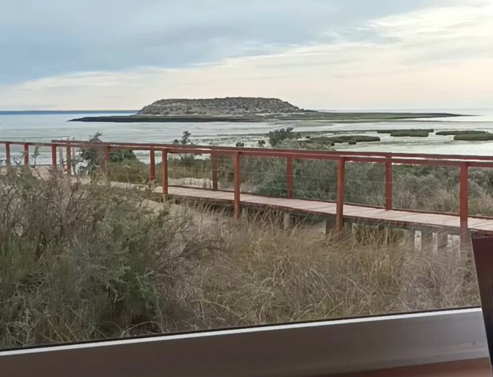 Reinauguran el Centro de Interpretación en Isla de los Pájaros: un impulso a la conservación y la educación ambiental en Península Valdés
