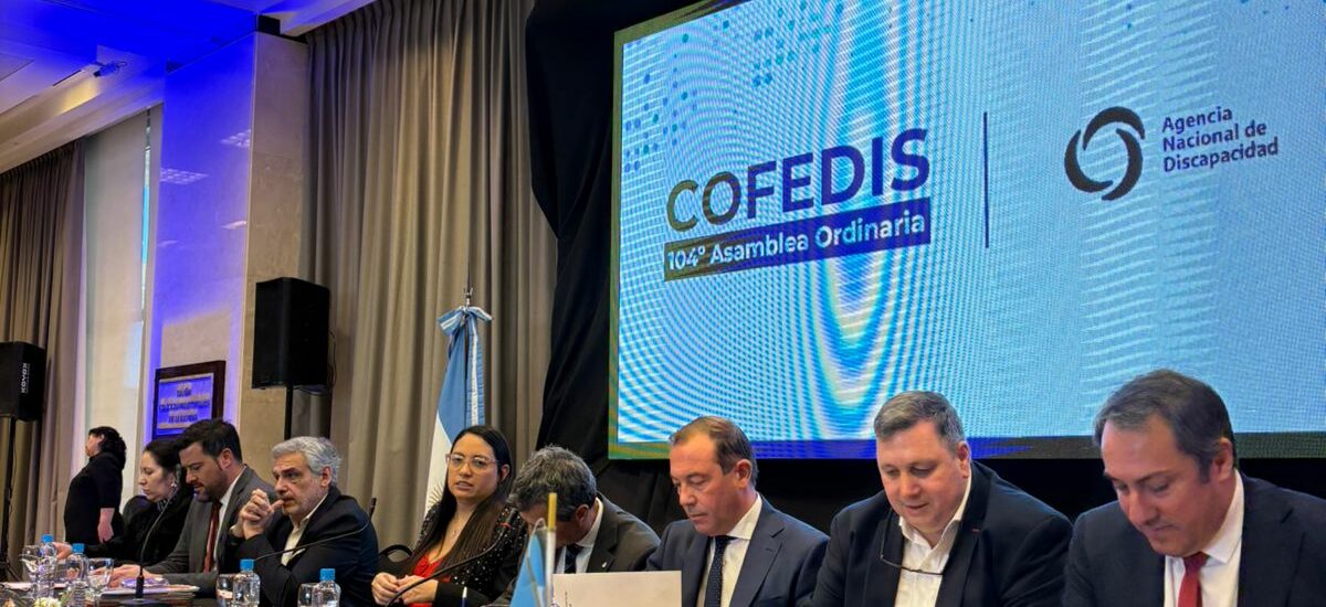 Chubut participó de la reunión del Consejo Federal de Discapacidad