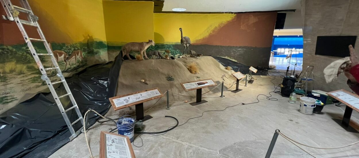 Provincia realiza obras en el Área Natural Protegida Punta Tombo para recibir la temporada de Pingüinos