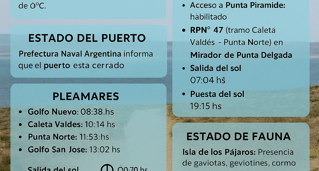 Península Valdés: el puerto cerrado y caminos habilitados con precaución
