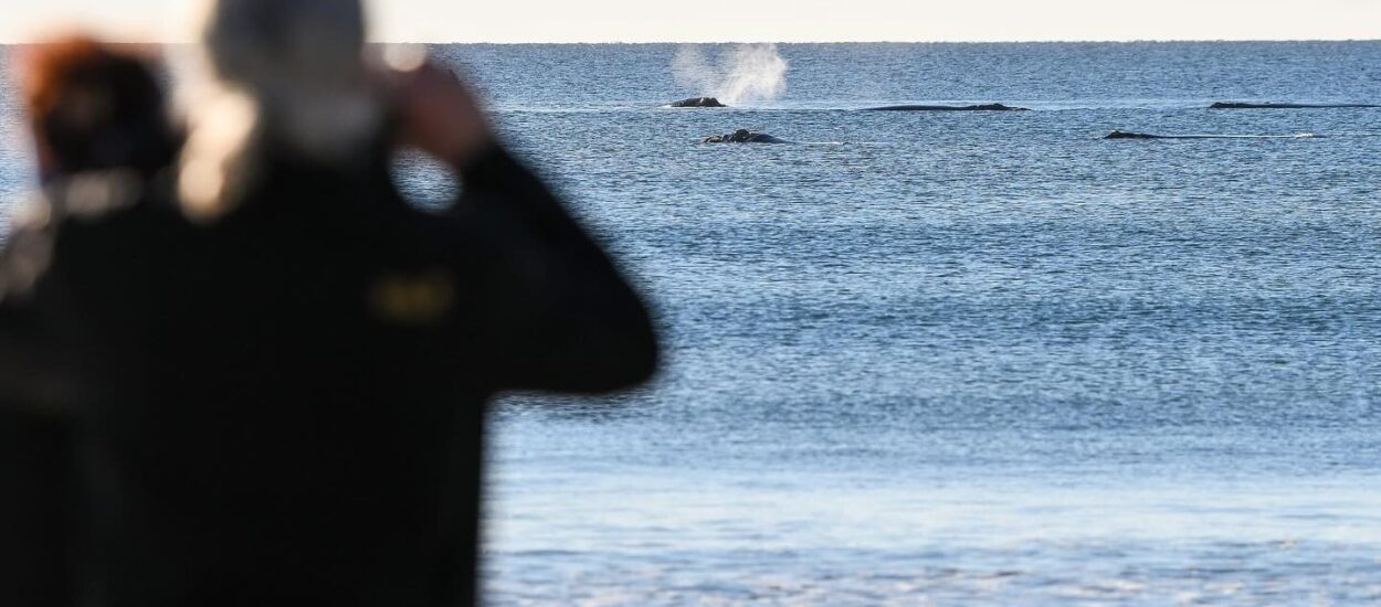 Puerto Madryn celebra el Día Internacional del Turismo con una semana repleta de actividades
