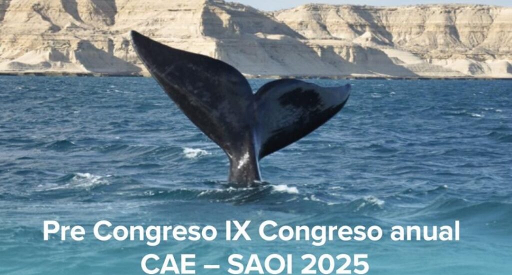 Puerto Madryn será sede del Pre Congreso y IX Congreso Anual CAE – SAOI 2025