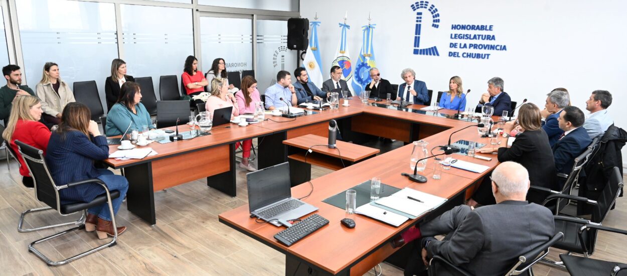 Con reconocidos especialistas se realizó nueva reunión informativa sobre el proyecto de ley para prevenir y combatir el ciberdelito en Chubut