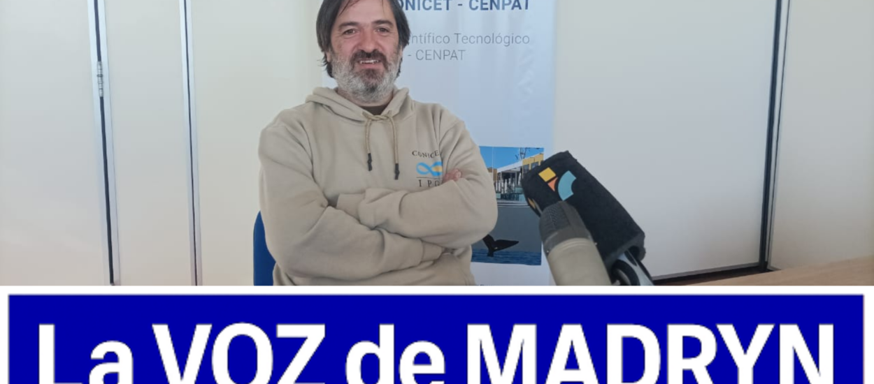 Descubren en Chubut una nueva especie de dinosaurio carnívoro: Joaquinraptor casali