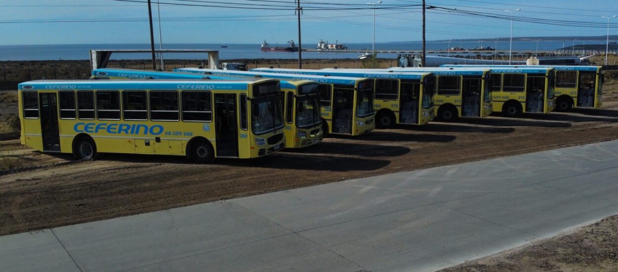 Chubut suma 10 colectivos 0 kilómetro adaptados para personas con discapacidad