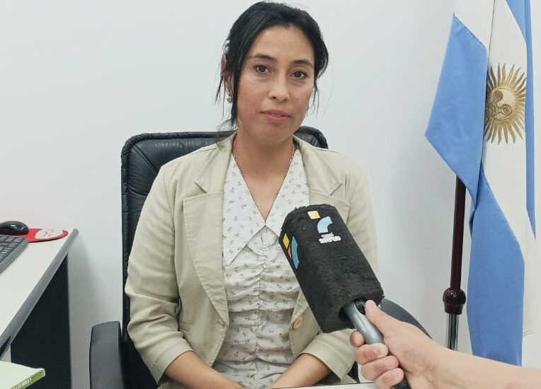 El Juzgado de Paz de Puerto Madryn implementa una guía de trámites online