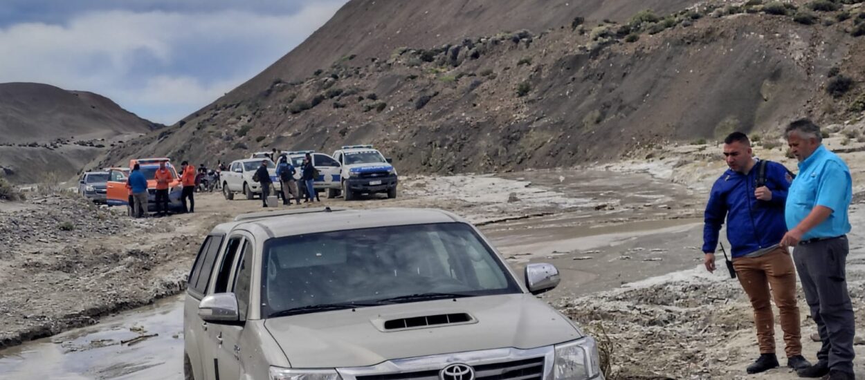 Revelan que el alga Undaria funciona como refugio para comunidades de invertebrados marinos