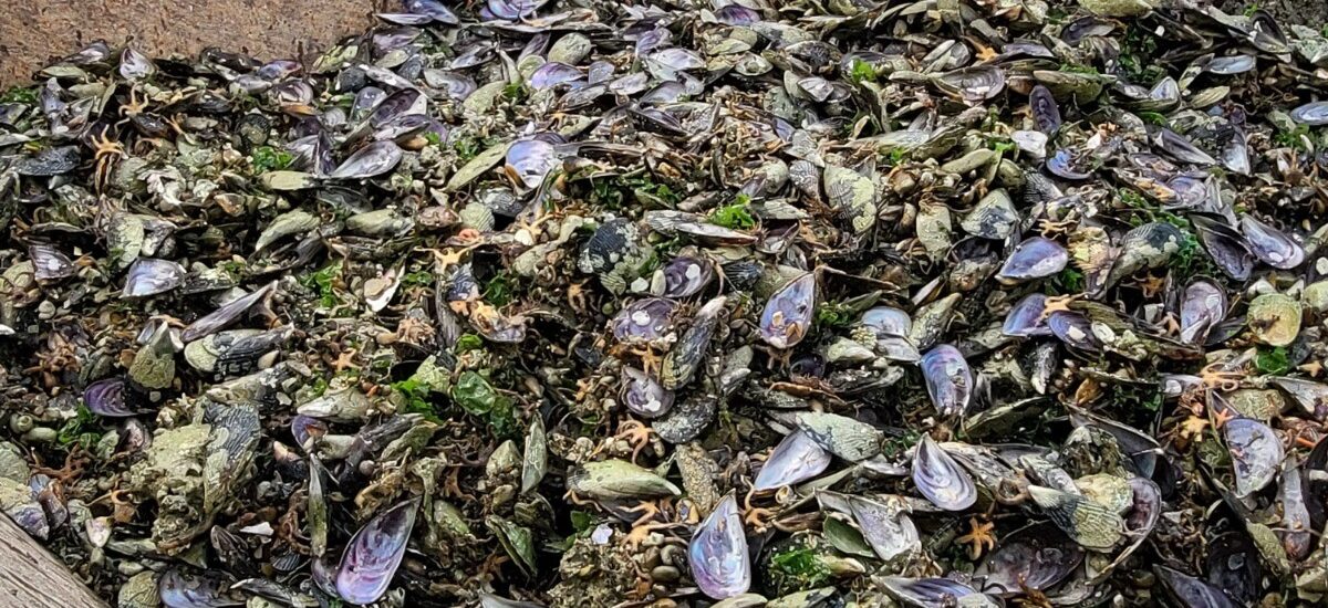 Revestimientos sustentables con sello UTN