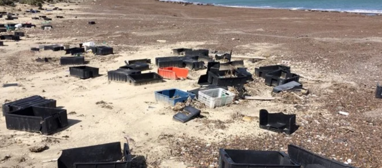 Jornada multisectorial en Puerto Madryn para prevenir la contaminación plástica y promover la economía circular en la pesca