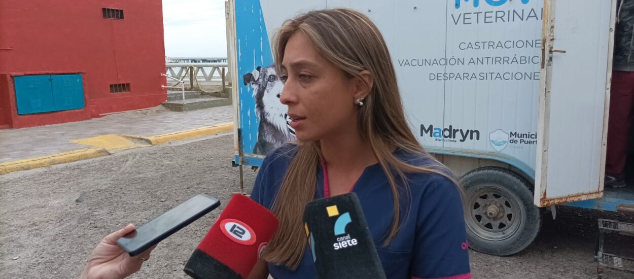 Comenzó el monitoreo en 3.000 viviendas por un caso de rabia en murciélago en Puerto Madryn
