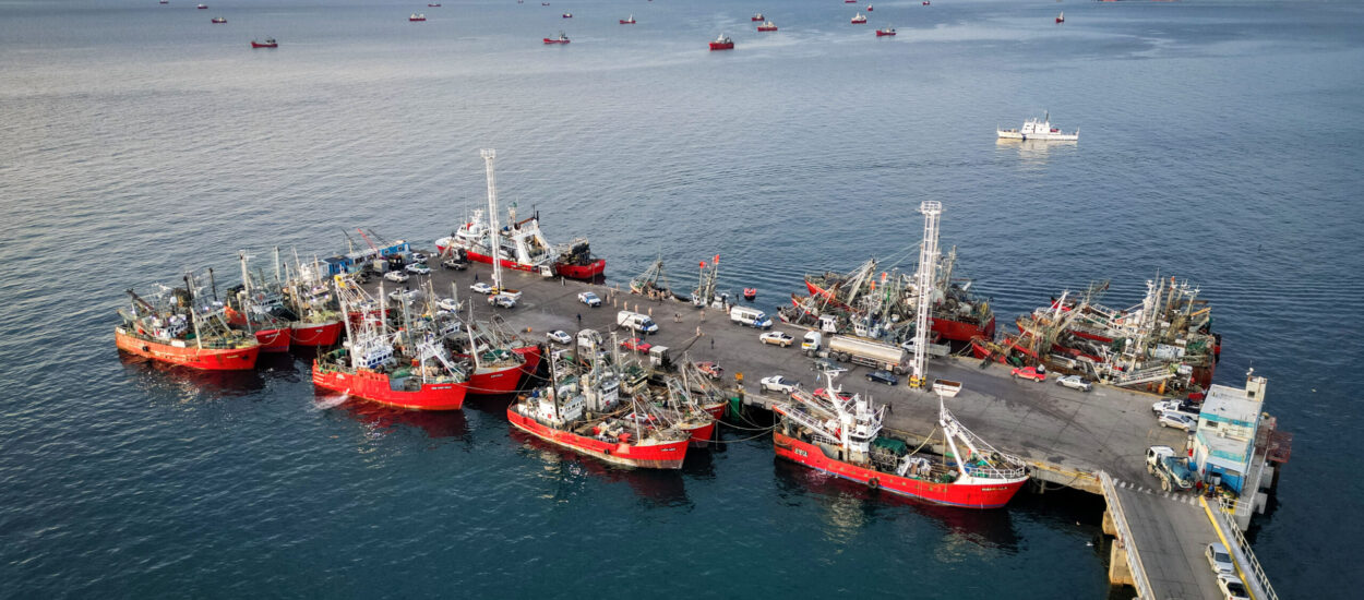 CAPIP pide a legisladores gestionar la eliminación de las retenciones a la pesca del Presupuesto Nacional 2026